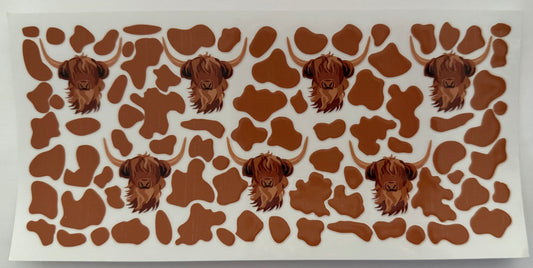 Highland cows 6