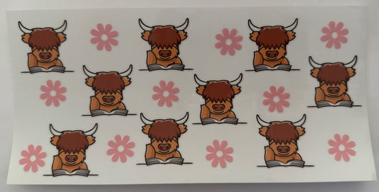 Highland cows 5